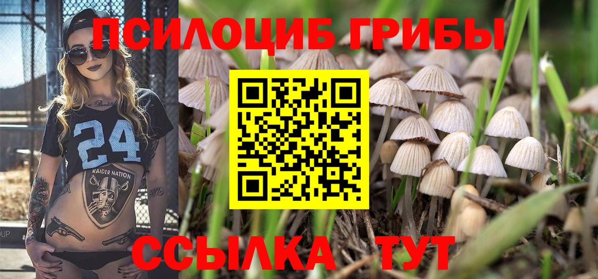 Галлюциногенные грибы ЛСД Фрязино