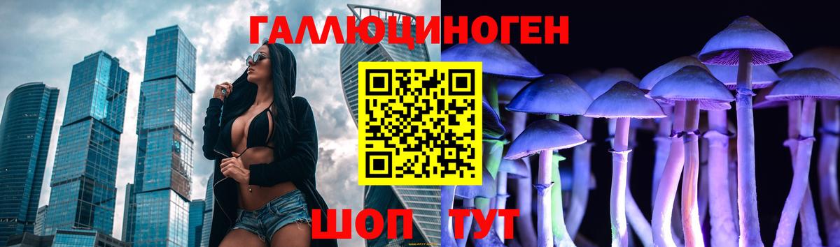 Галлюциногенные грибы Psilocybe  Вход с VPN  Фрязино  Псилоцибиновые грибы GOLDEN TEACHER 